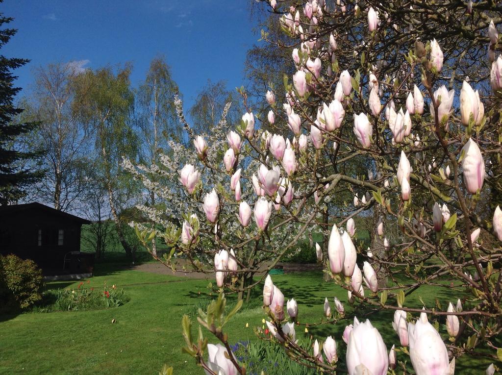 Dyrlev Bed & Breakfast Præstø 외부 사진