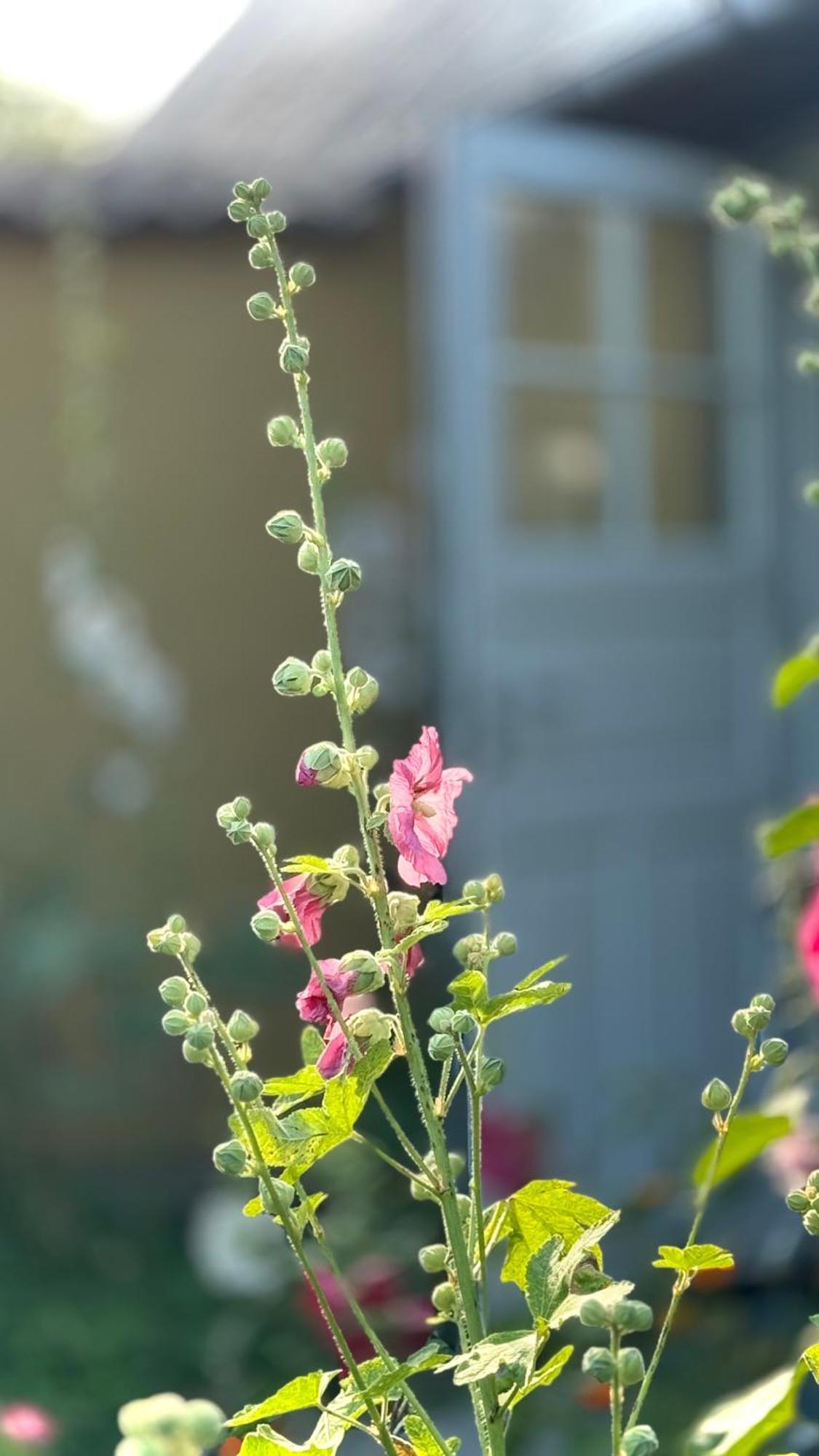 Dyrlev Bed & Breakfast Præstø 외부 사진
