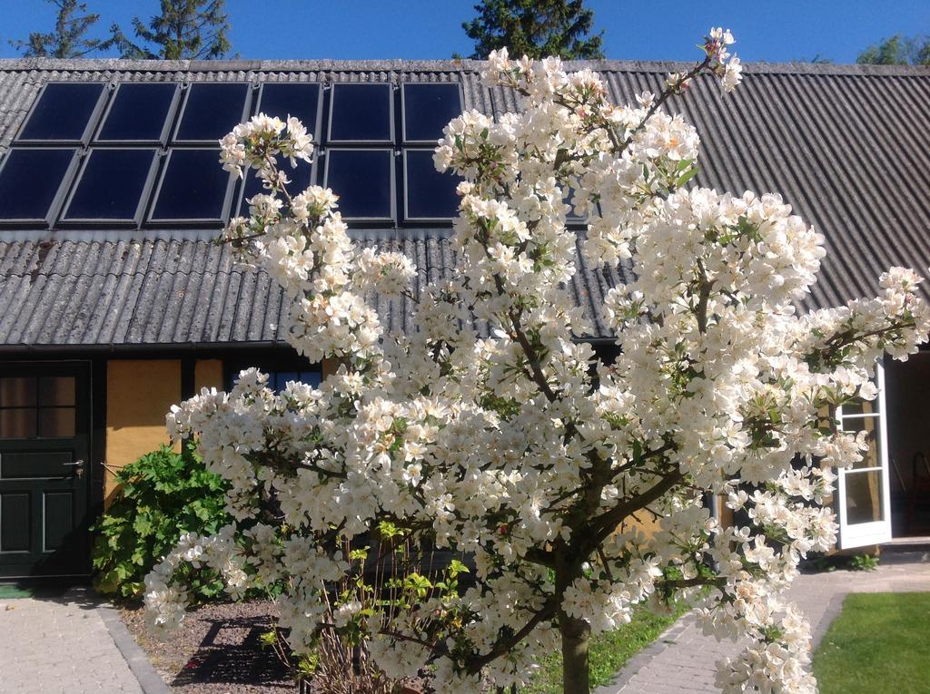 Dyrlev Bed & Breakfast Præstø 외부 사진